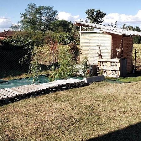 Maison Familiale - Menage, Serviettes, Draps Inclus Gaillac Kültér fotó